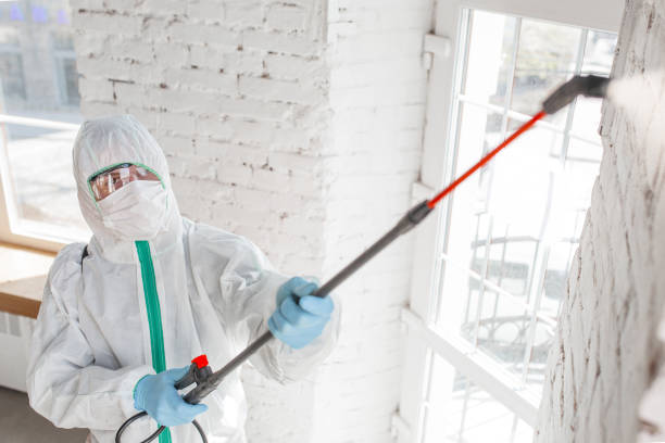 Best Industrial Mold Remediation  in Basin, WY