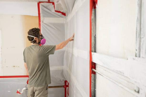 Mold Odor Removal Services in Basin, WY