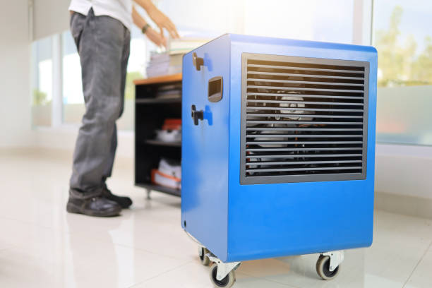 Best Residential Mold Inspection & Testing  in Basin, WY