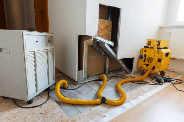 Best Mold Odor Removal Services  in Basin, WY